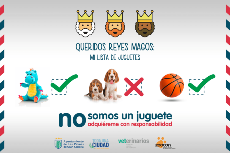 Entre enero y noviembre de 2018 se habían recogido a 940 animales abandonados, de ellos, 601 perros y 302 gatos